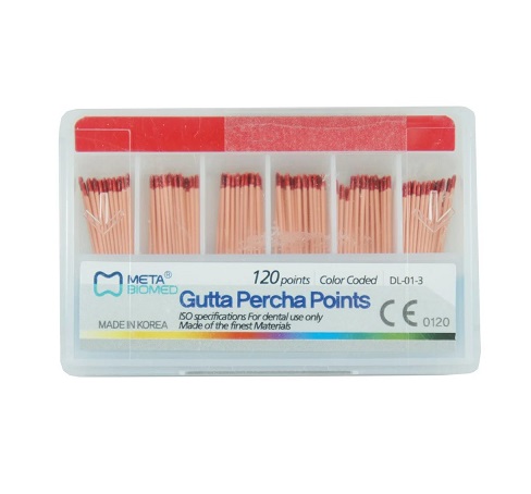 cone-de-gu.001458.8232