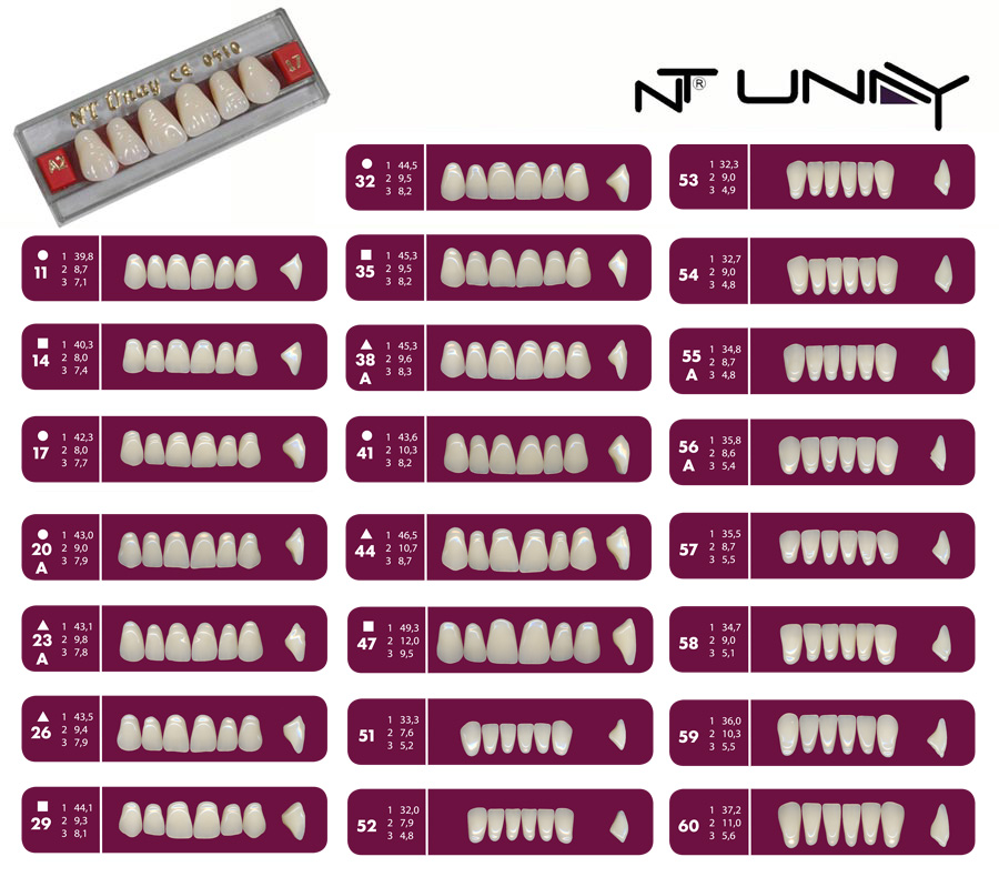 ntunay1